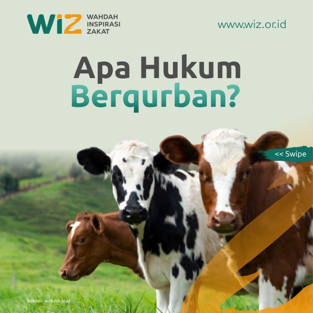 Apa Hukum Berqurban? - WAHDAH INSPIRASI ZAKAT