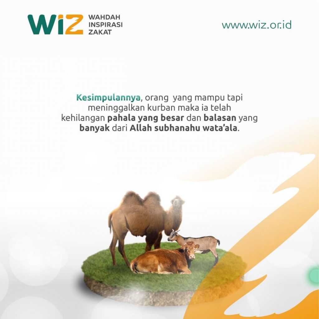 Apa Hukum Berqurban? - WAHDAH INSPIRASI ZAKAT