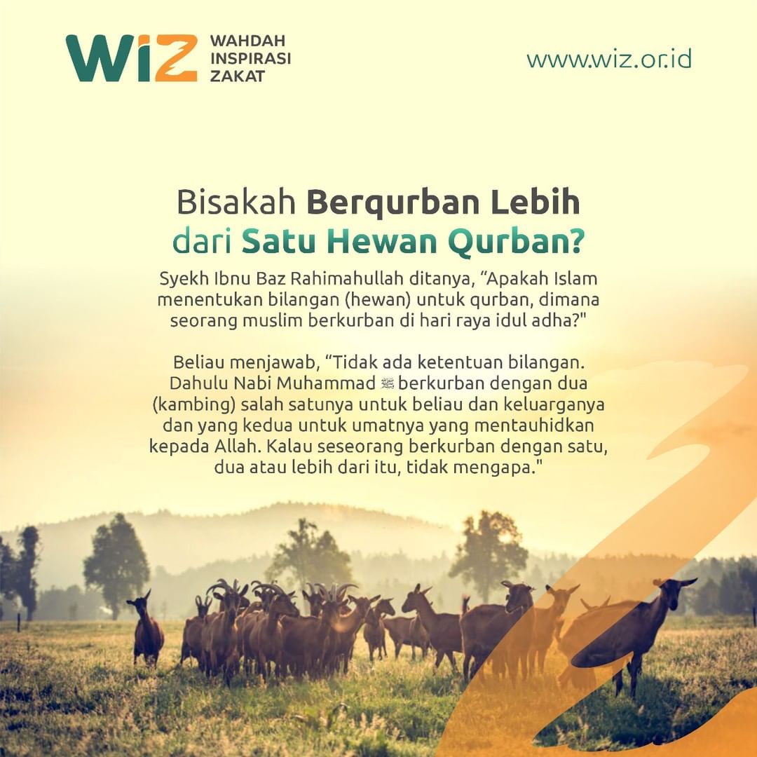 Bisakah Berqurban Lebih Dari Satu Hewan Qurban? – WAHDAH INSPIRASI ZAKAT