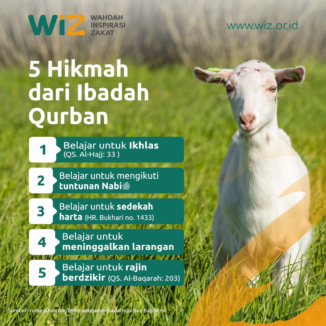 5 Hikmah Dari Ibadah Qurban Wahdah Inspirasi Zakat