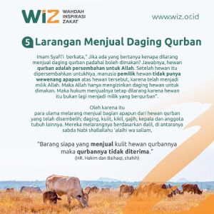 Panduan Praktis Ibadah Qurban - WAHDAH INSPIRASI ZAKAT