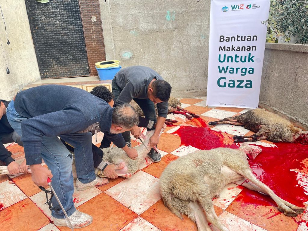 Gambar Penyaluran Makanan untuk Warga Palestina