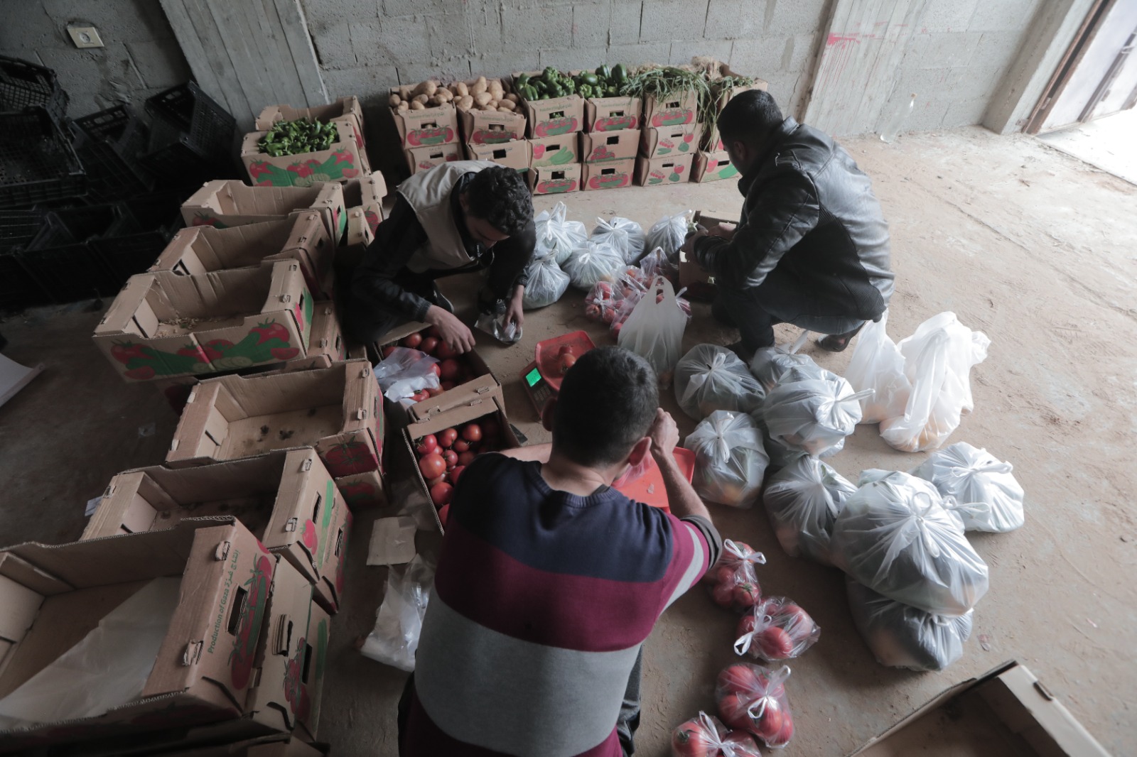 Gambar Persiapan Penyaluran Buah dan Sayuran untuk Warga Dayr Balah Palestina