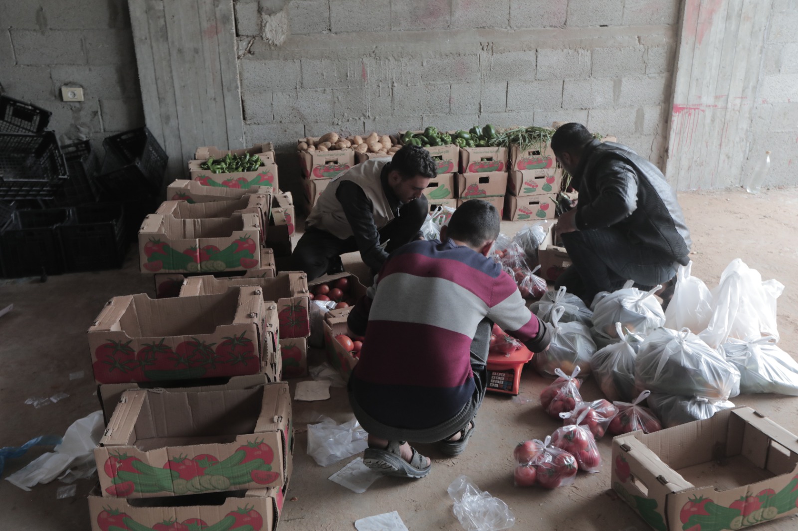 Gambar Persiapan Penyaluran Buah dan Sayuran untuk Warga Dayr Balah Palestina