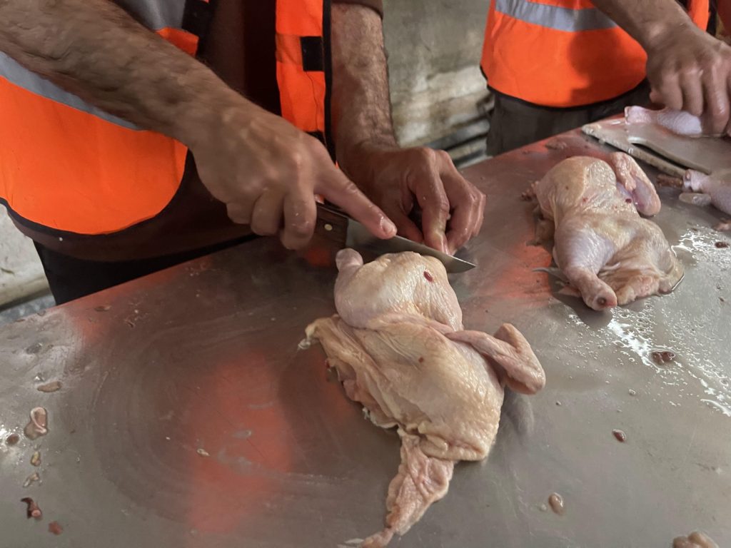 Gambar proses persiapan dan penyaluran buka puasa di Khan Yunis, Palestina